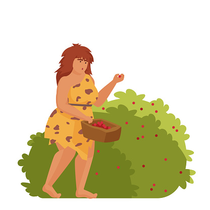 Stone age woman picking berries. Primitive food harvesting, prehistoric lifestyle cartoon vector illustration