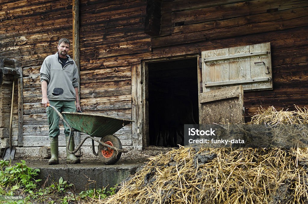 Trabalho Real dos Alpes suíços agricultor - Foto de stock de Agricultor royalty-free