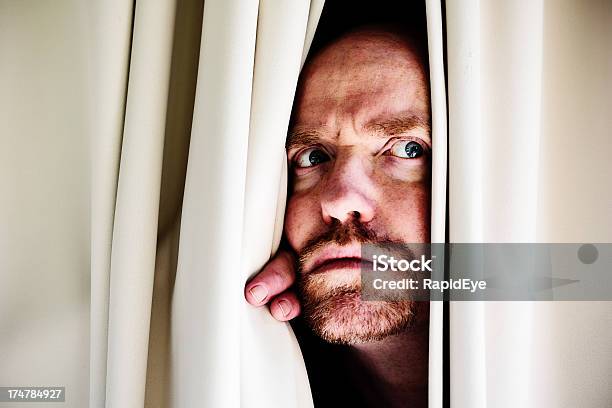 Suspicious Bearded Man Peers Through Curtains Fearfully Stock Photo - Download Image Now