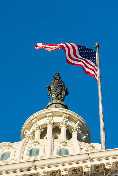 istock Statue of Freedom and Flag 174784964