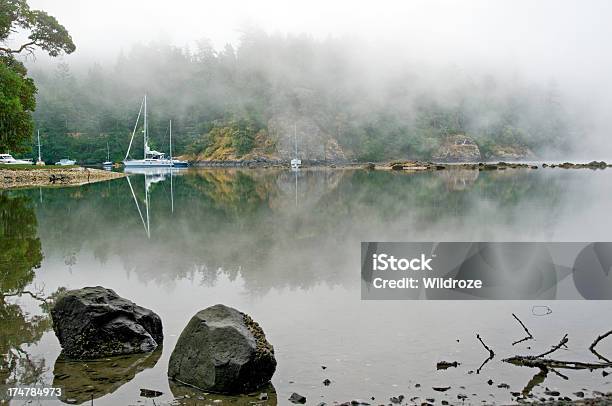 Nevoeiro Protecções Porto Ilha De Vancouver - Fotografias de stock e mais imagens de Navio Pesqueiro - Navio Pesqueiro, Ancorado, Ao Ar Livre