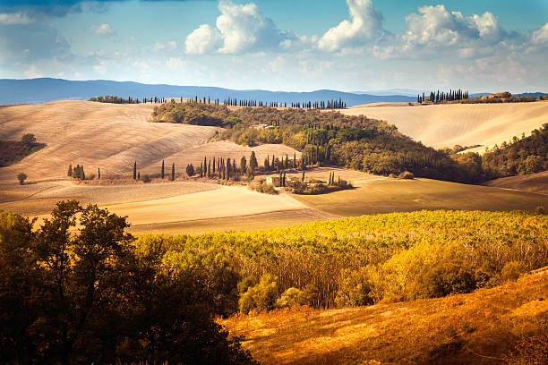 istock Landscape of Tuscany 174785175