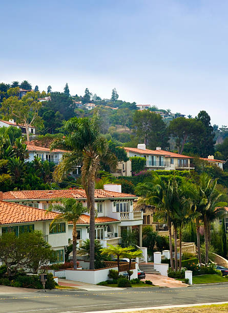 istock Residential suburbs in California 174785630