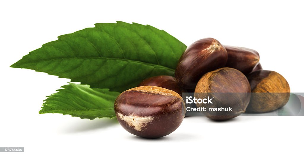 chestnut - Lizenzfrei Baum Stock-Foto