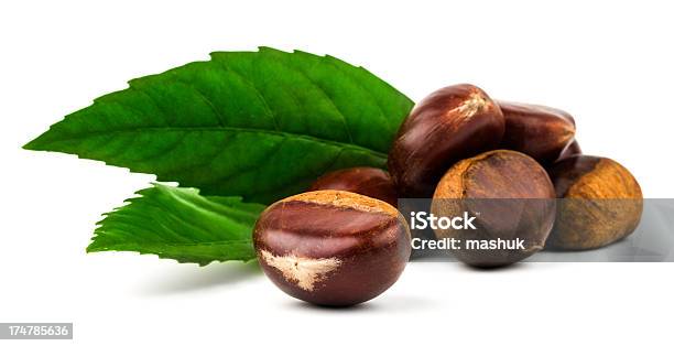 Chestnut Stockfoto und mehr Bilder von Baum - Baum, Bildhintergrund, Blatt - Pflanzenbestandteile