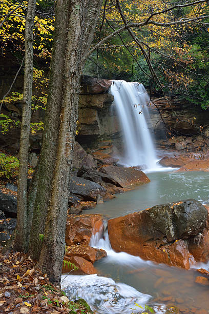 douglas falls - monongahela national forest landscapes nature waterfall fotografías e imágenes de stock