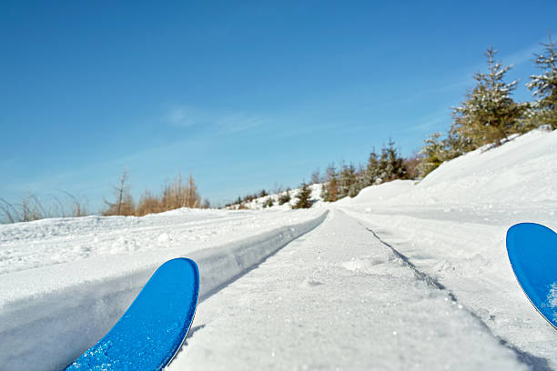 스노이 겨울맞이 풍경, 크로스 컨트리 트랙형 검정색 임산 - cross country skiing black forest germany winter 뉴스 사진 이미지