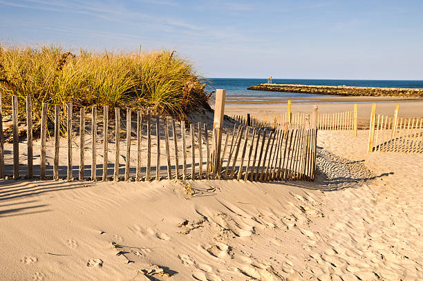 istock Sand Fence and Jetty 174786401