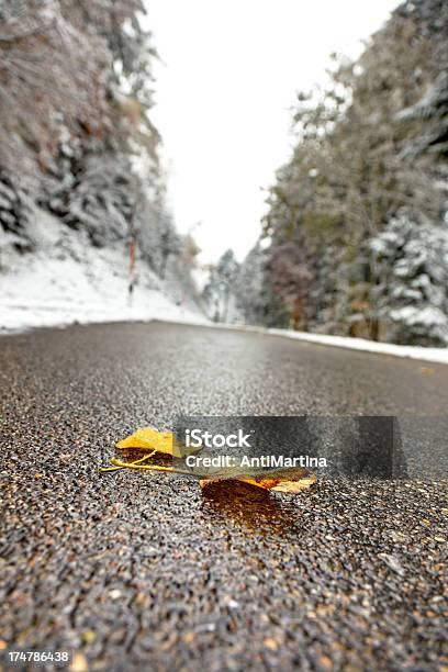 Photo libre de droit de Feuilles Dautomne Sur Le Mouillé Route Dhiver banque d'images et plus d'images libres de droit de Allemagne - Allemagne, Feuillage automnal, Feuille