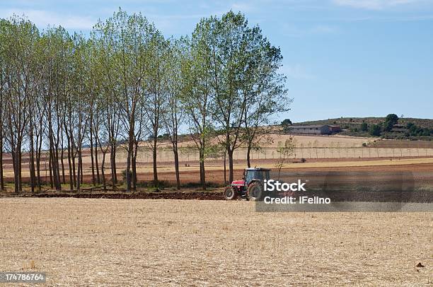 Arar Campos Foto de stock y más banco de imágenes de Actividad - Actividad, Agricultura, Aire libre