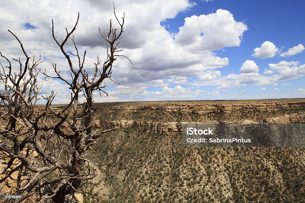 Vue sur le Parc National de Mesa Verde - Photo de Abrupt libre de droits