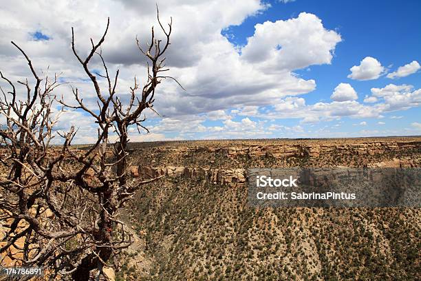 Photo libre de droit de Vue Sur Le Parc National De Mesa Verde banque d'images et plus d'images libres de droit de Abrupt - Abrupt, Arbre, Bleu