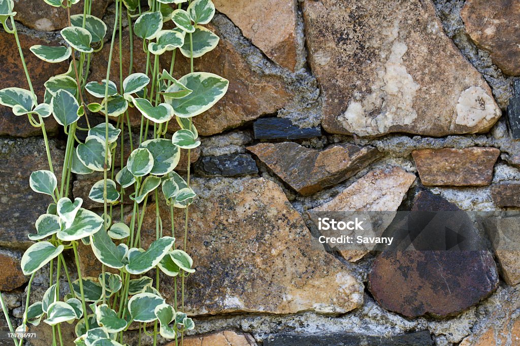 Mur de pierres - Photo de Béton libre de droits