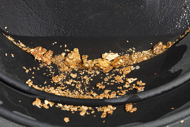 istock Gold Nuggets and Flakes in Pan 174787066
