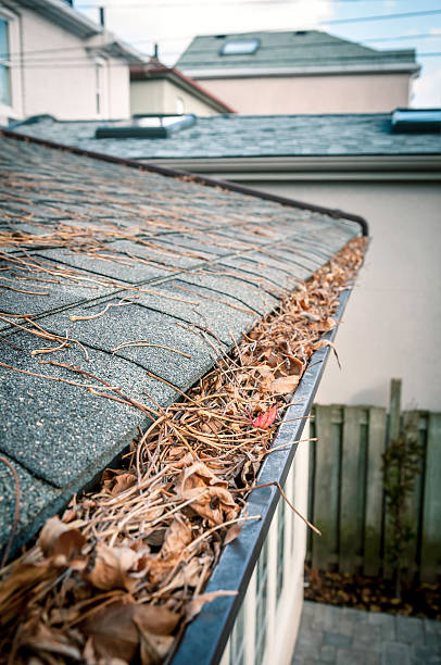 Eavestrough clogged with leaves - I stock photo