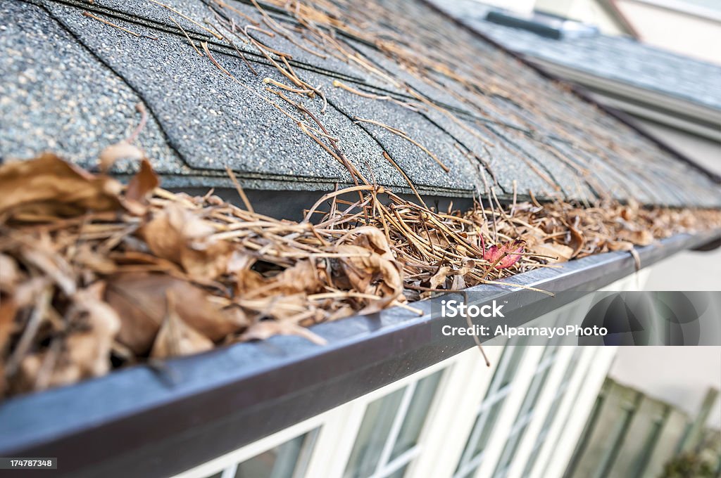 Eavestrough clogged with leaves - III  Roof Gutter Stock Photo