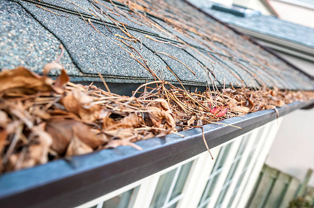 Eavestrough clogged with leaves - III  roof gutter photos stock pictures, royalty-free photos & images