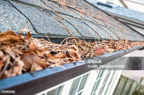 Eavestrough Clogged With Leaves Iii Stock Photo - Download Image Now - Roof Gutter, Cleaning, Clogged