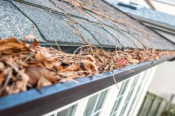 Photo of Eavestrough clogged with leaves - III