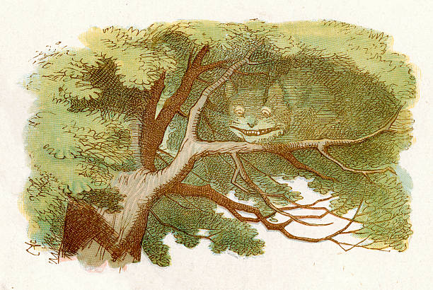 ilustraciones, imágenes clip art, dibujos animados e iconos de stock de alice in wonderland, el gato de cheshire - cheesy grin illustrations