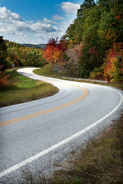 istock Autumn in the Ozarks 174787494