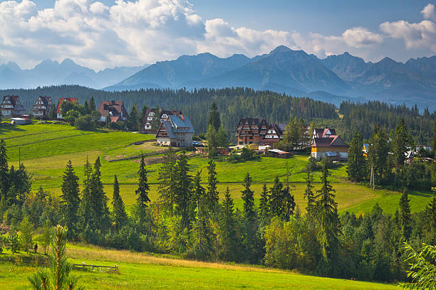 bukowina tatrzanska ヴィラージュのタトラ山脈 - european alps carpathian mountain range evergreen tree tree ストックフォトと画像