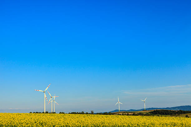 풍력 터빈 - wind turbine austria field yellow 뉴스 사진 이미지