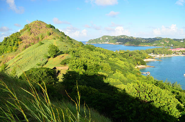 istock Pigeon Island St Lucia 174787595