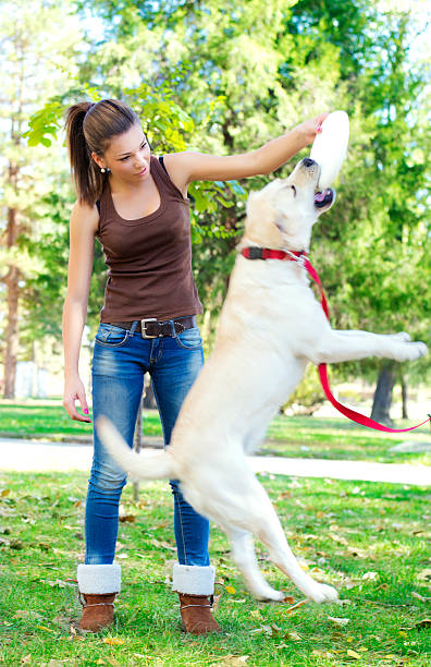 istock Girl playing with the dog 174787647