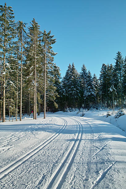 nívea invierno paisaje con cross country pista en la selva negra - cross country skiing black forest germany winter fotografías e imágenes de stock