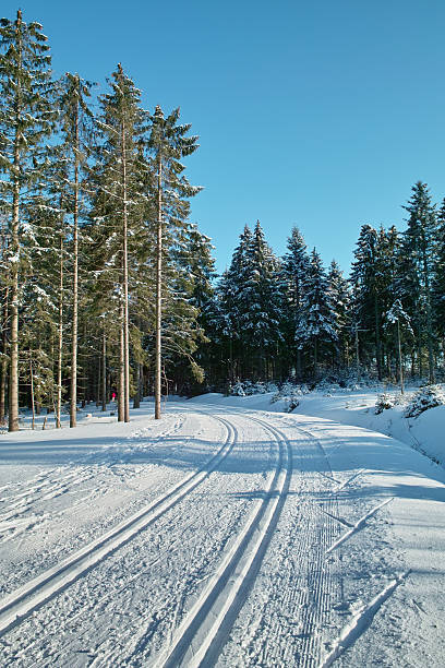 스노이 겨울맞이 풍경, 크로스 컨트리 트랙형 검정색 임산 - cross country skiing black forest germany winter 뉴스 사진 이미지