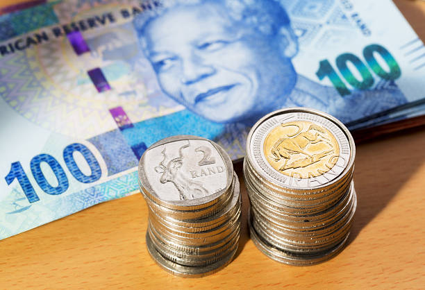 新しい南アフリカ banknotes は、マンデラ、積み上げられた硬貨の山 - nelson mandela wildebeest blue new ストックフォトと画像