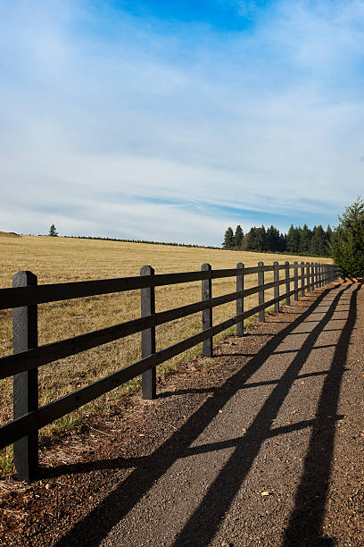 istock Rail Fence and Country Road 174787974