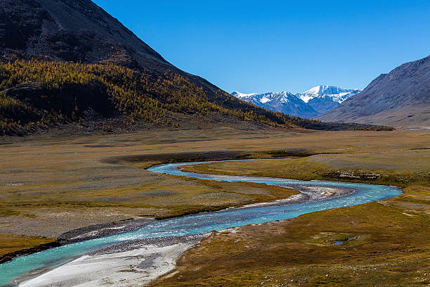 fiume in mongolo altai catena di montagne - sibiria foto e immagini stock