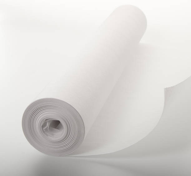 istock Rolled Up Sheets of White Paper 174788200