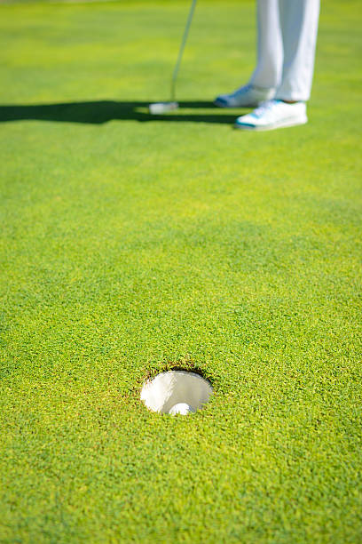 Golf Ball In The Hole