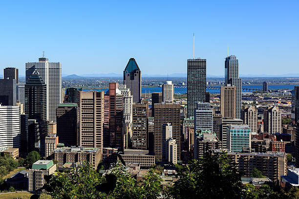 istock Montreal Cityscape in Summer 174788626