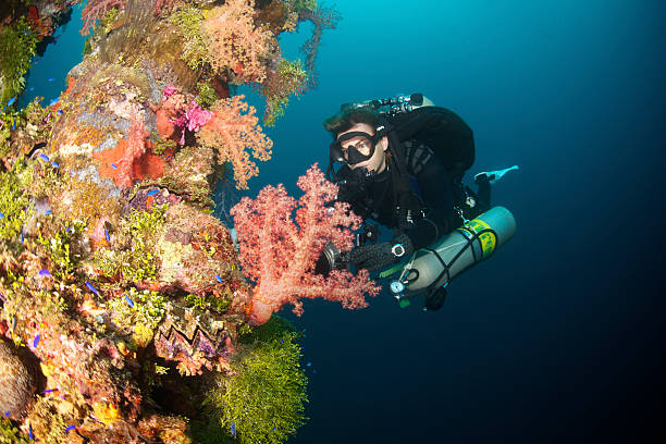 istock Female Diver with Soft Coral 174788696