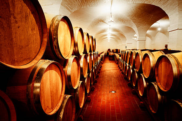 istock Parties in waiting: many wine barrels at winery cellar 174788854