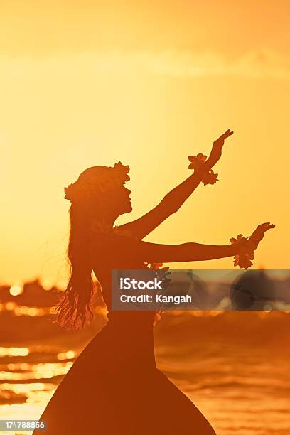 Photo libre de droit de Magnifique Jeune Danseuse De Hula banque d'images et plus d'images libres de droit de Îles Hawaï - Îles Hawaï, Danser, Collier de fleurs