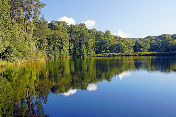 istock Mountain Lake Reflections in Georgia USA 174788924