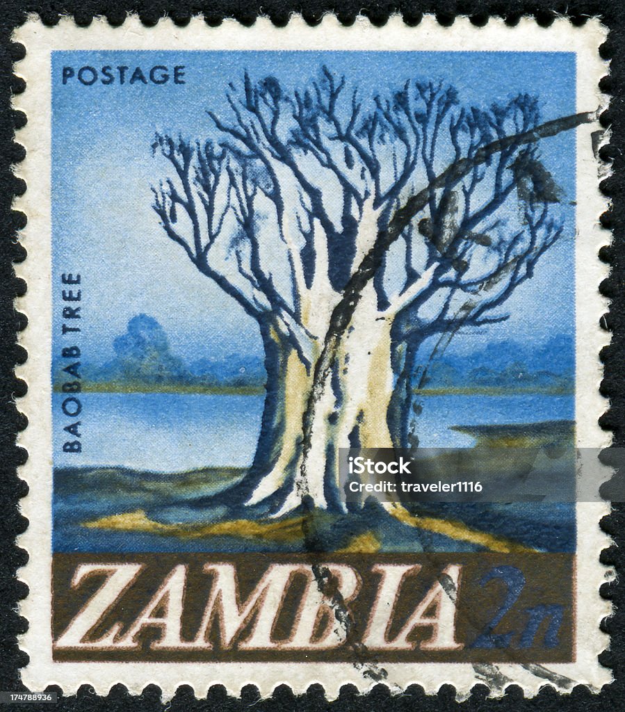 Baobab pieczęć - Zbiór zdjęć royalty-free (Baobab)