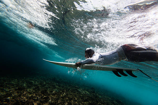 surfer duck diving - kustlinje videor bildbanksfoton och bilder