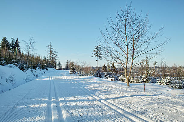 ユキコ冬の風景、クロスカントリートラックにブラックの森 - cross country skiing black forest germany winter ストックフォトと画像