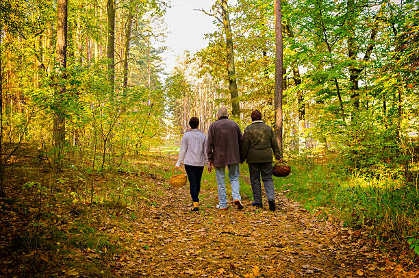 istock Senior couple walking in forest 174789366