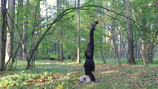 Blonde woman practicing yoga, performing shirshasana exercise, inverted asana, training in black sportswear on a sunny autumn day in a park on a walking path