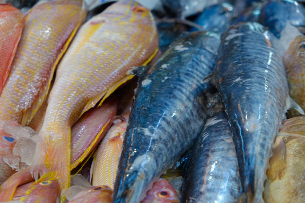 istock Various fresh sea fish sell in market 1747898073