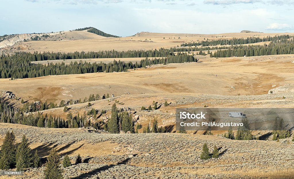 Elk hunters'Wohnmobile in Big Horn Mountains of Wyoming - Lizenzfrei Baum Stock-Foto