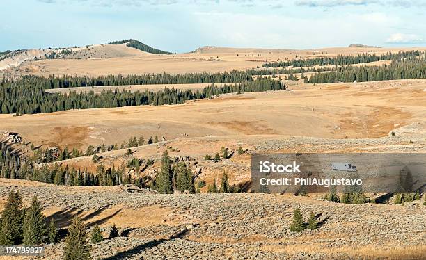 Photo libre de droit de Elk Hunterscampingcars Dans Les Montagnes De Big Horn Au Wyoming banque d'images et plus d'images libres de droit de Arbre