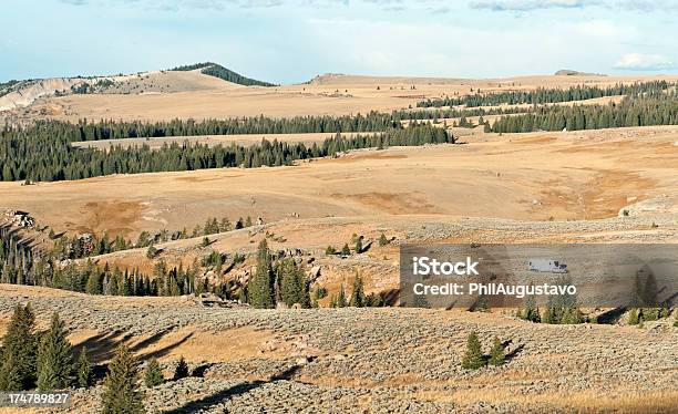 Elk Huntersrv W Góry Bighorn W Wyoming - zdjęcia stockowe i więcej obrazów Bez ludzi - Bez ludzi, Bylica - Biegacz stepowy, Cień